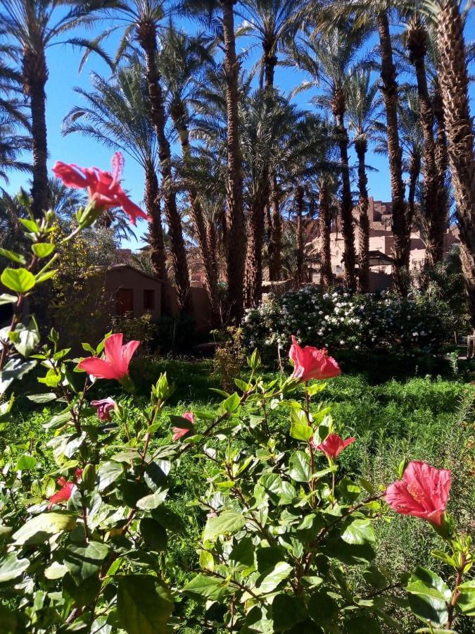 Ecolodge Du Draa Ouled Otmane Esterno foto